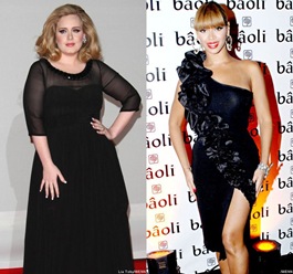 adele-to-release-single-this-year-wants-to-work-with-beyonce-knowles