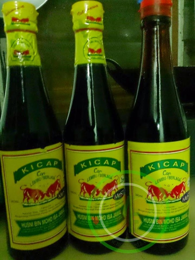 Kicap Lembu Berlaga!