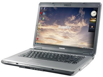 TOSHIBA Satellite L310-P4011 Pic