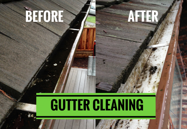 Gutter Cleaning Company