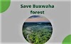 All you need to know about the 'Save Buxwaha Forest .