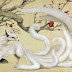 Kitsune ( Legenda Rubah Penipu di Jepang )