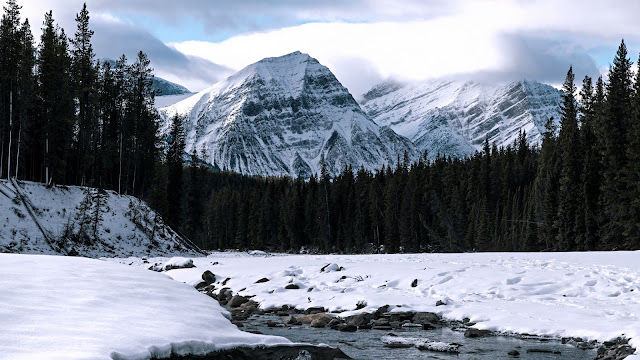 Forest, Snowy, River, Snow