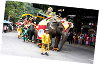 wisata taman safari