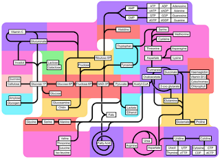 Biological processes