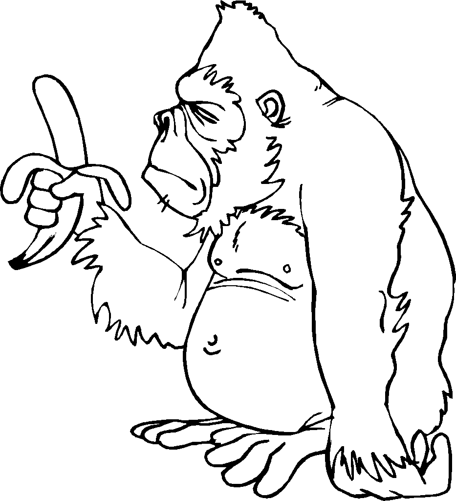 desenhos de gorilas para colorir