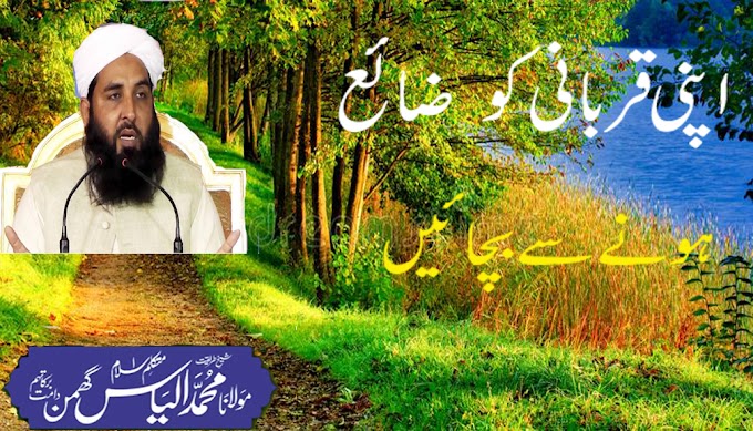 BAYAN||APNI QURBANI KO ZAYA HONAY SAY BACHAEEN||MULANA ILYAS GHUMAN D.B||قربانی کو ضائع ہونے سے بچائیں