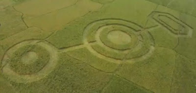 Crop Circle Di Cikarang