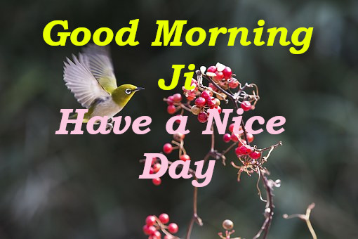 Latest Best Good Morning Wishes.