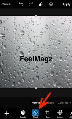 FeelMagz