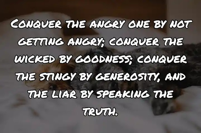 Conquer the angry one by not getting angry; conquer the wicked by goodness; conquer the stingy by generosity, and the liar by speaking the truth.
