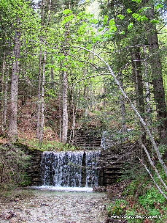 Slovenija, Gorenjska