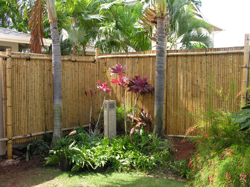 Best Backyard Privacy Wall Ideas