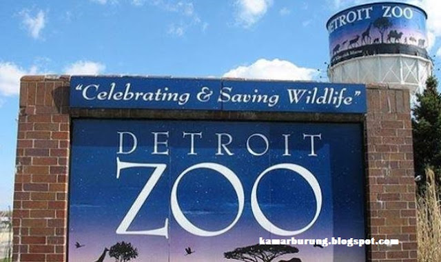 Detroit Zoo