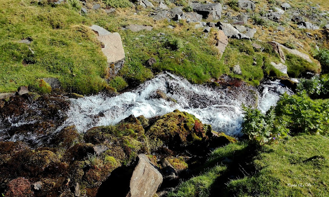 Picón,Sierra Nevada