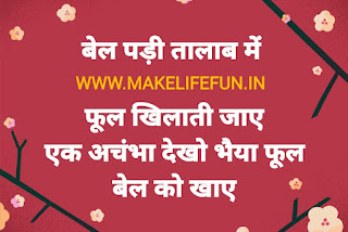 latest collection of Hindi Paheliyan with Answer, Hindi Puzzles, Paheliyan in Hindi with Answer, Top 30 riddles in Hindi with Answer, हिंदी पहेलियाँ उत्तर के साथ, Funny Paheliyan in Hindi with Answer, Top Paheliyan in Hindi with Answer