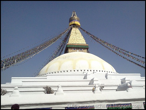 Boudhha (5)