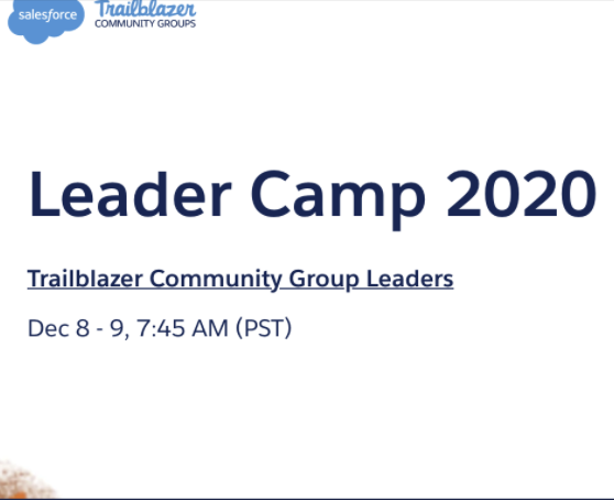 Tigh Loughhead moderating Salesforce Leader Camp 2020
