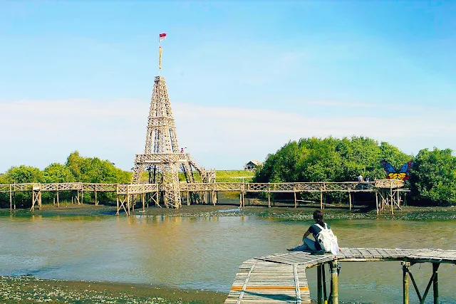 Keindahan Wisata Hutan Mangrove Kulon Progo Yogyakarta