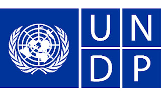 UNDP, Conflict Early Warning, Early Response Expert