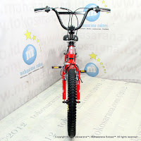 20 Inch Evergreen E3 FreeStyle BMX Bike