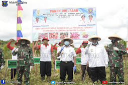 Dominggus Mandacan Hadiri Panen Raya 10 Hektar Ubi Jalar di Salawati