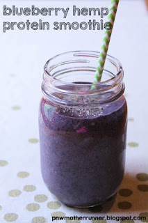 Blueberry Hemp Protein Smoothie organic healthy 