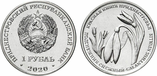 Transnistria 1 rouble 2020 - Red book: Snowdrop (Galanthus nivalis)