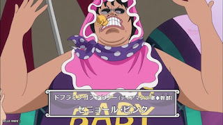 ワンピース アニメ エッグヘッド編 1101話 セニョールピンク ONE PIECE Episode 1101