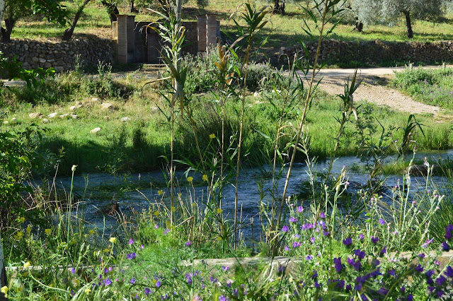 elburgo-malaga-casa-el-sendero