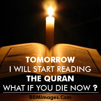  Kata  Mutiara Qurani  Quotemutiara Quotemutiara
