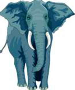 elephant2
