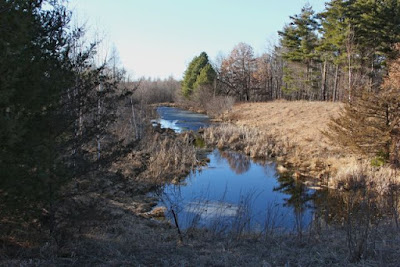 open water, March 14, 2014