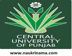  Central University of Punjab Recruitment 2015 