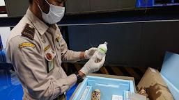 Vaksin Perdana Penyakit PMK Pada Hewan Ternak dari Prancis Tiba di Indonesia