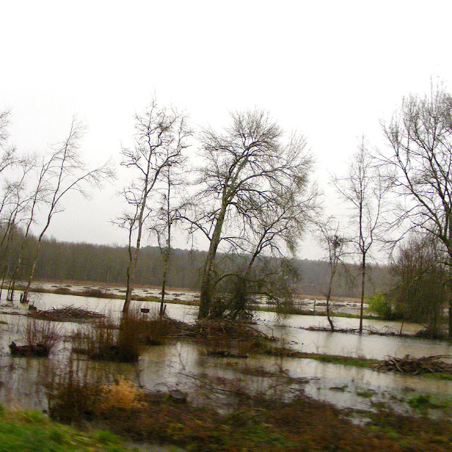 Flooding on the Indre, Indre et Loire, France. Photo by Loire Valley Time Travel.