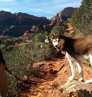 Dog Friendly travel destinations.  Pet friendly, Pet travel, National parks that allow dogs, State parks that allow dogs.  Travel with dogs, pets