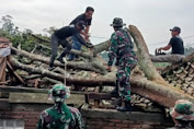 Kodim 0613/Ciamis Turunkan Puluhan Prajuritnya ke Lokasi Bencana Puting Beliung di Kec Panawangan