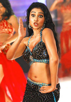 Actress Shriya Sharan Navel Show Photos-1