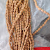 4 MUKHI IINDONESIAN MALA