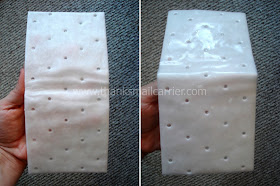 BISSELL Stain Lifting Pads