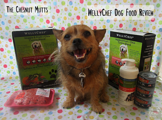 The Chesnut Mutts WellyChef Dog Food Review