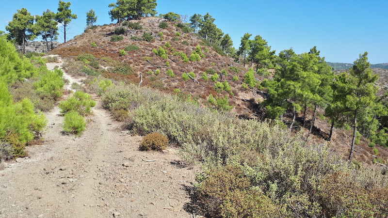 Hillside track