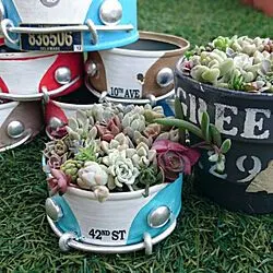 60 lindas ideias de como usar latas como vasos de plantas