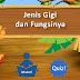 PPT Interaktif Jenis-Jenis Gigi dan Fungsinya