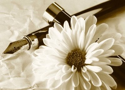 %normal_127469_photo[1]