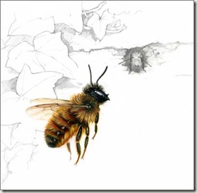 mason bee and ivy sm  