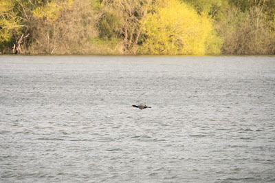 Deeping Lakes Photo