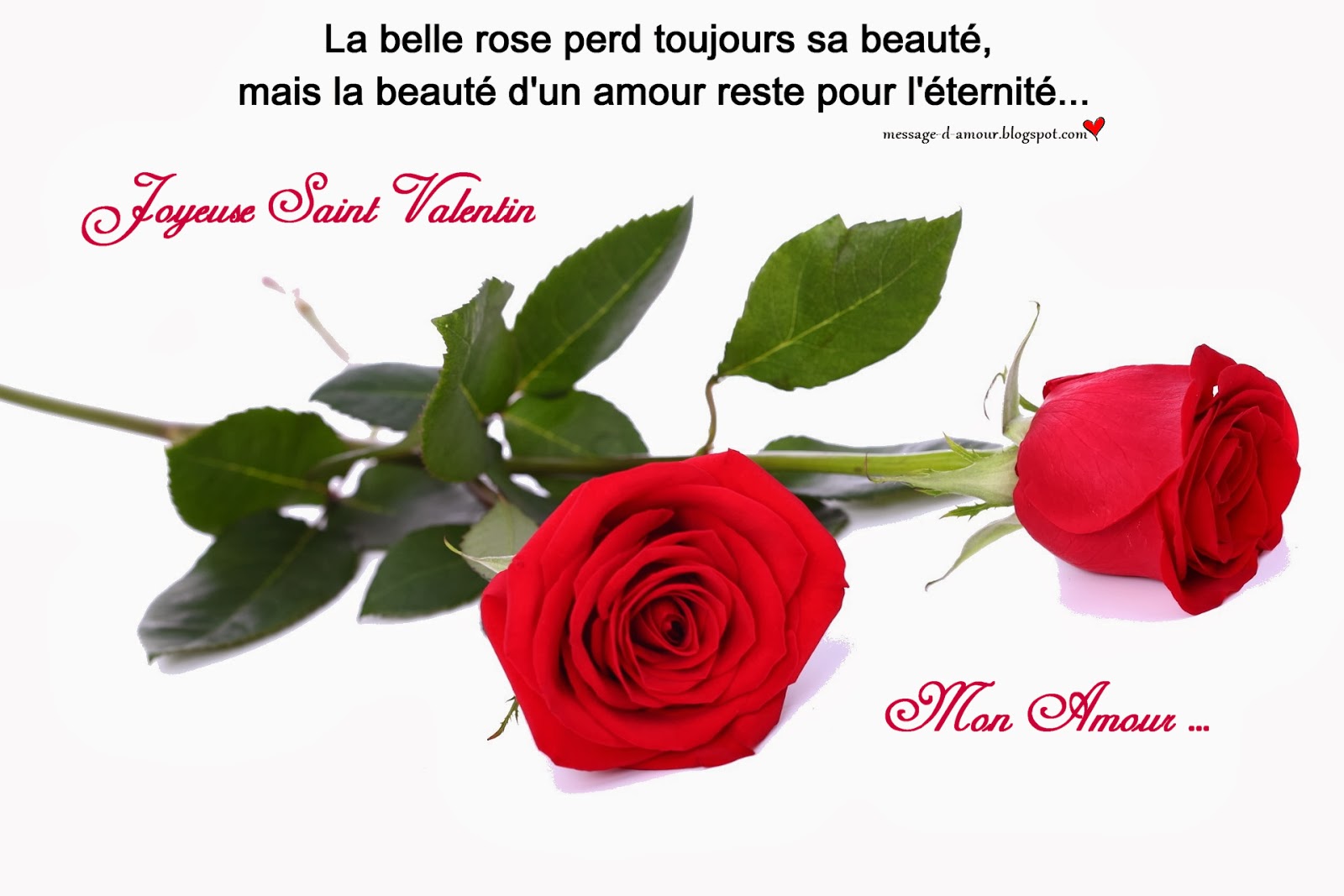 citation amour regard