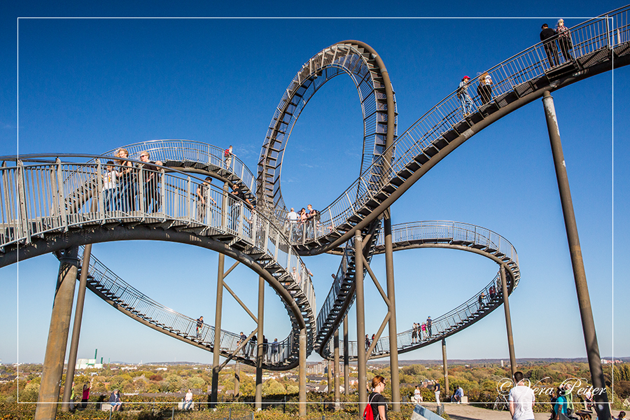 Tiger and Turtle